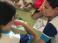 IMG 5913 IMG 5913