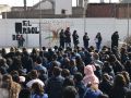 arbol vida 11