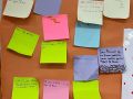 IMG 4598
