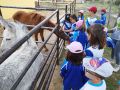 IMG 20240520 132003