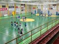 IMG 20250407 120519